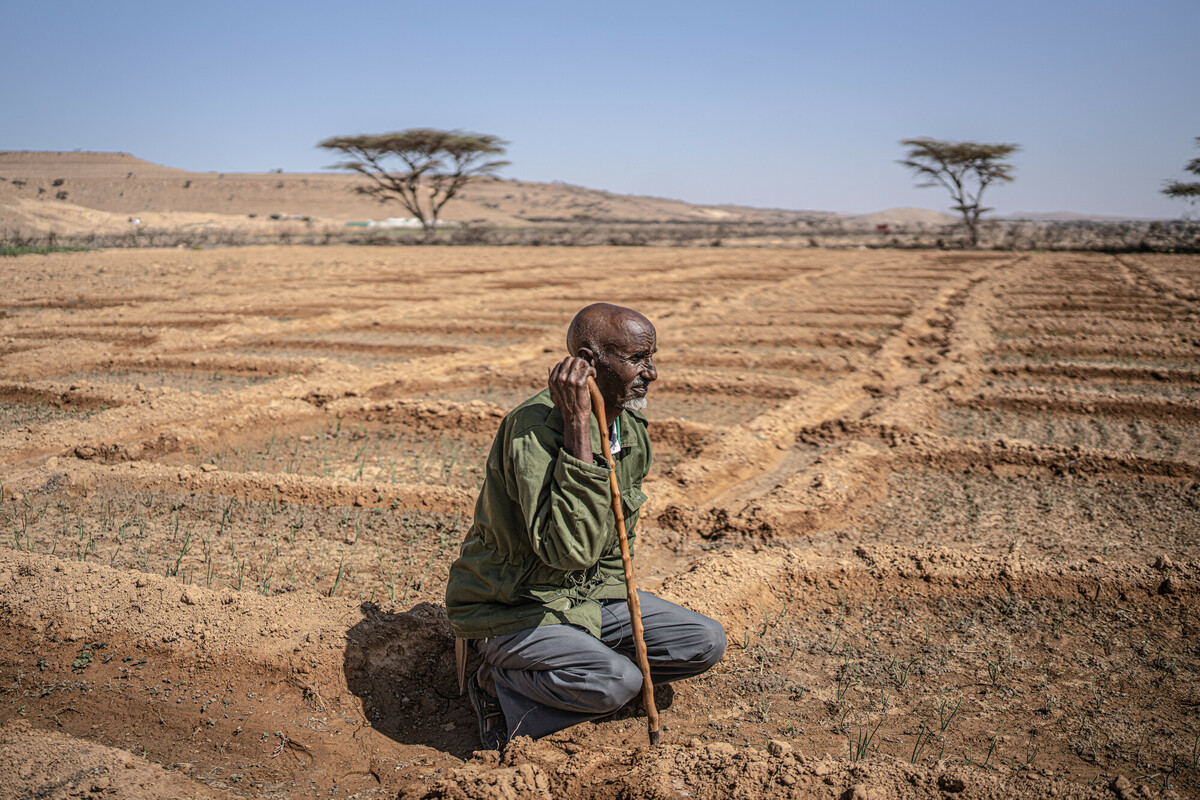 Alì e di altri pastori non hanno più foraggio per i propri animali. Pannelli solari, sementi resistenti e serre li aiutano a sopravvivere. Foto: Pablo Tosco/Oxfam 