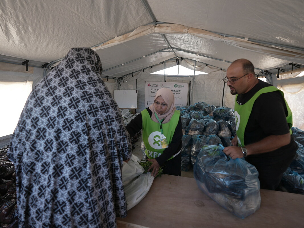 A Gaza, abbiamo distribuito ortaggi freschi che hanno integrato le scarse razioni degli sfollati. Foto: Ghada Alhaddad/Oxfam 